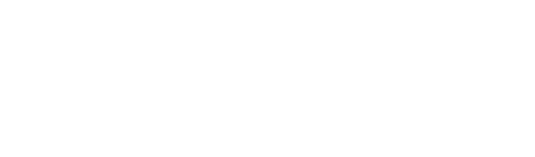 Sera Group Logo